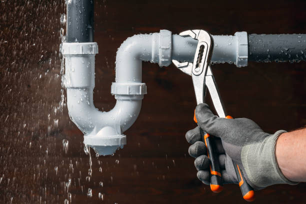 Professional Plumbing technician working in Reeds, MO